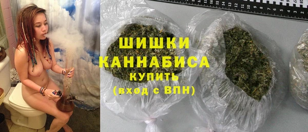 PSILOCYBIN Няндома