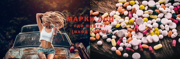 PSILOCYBIN Няндома